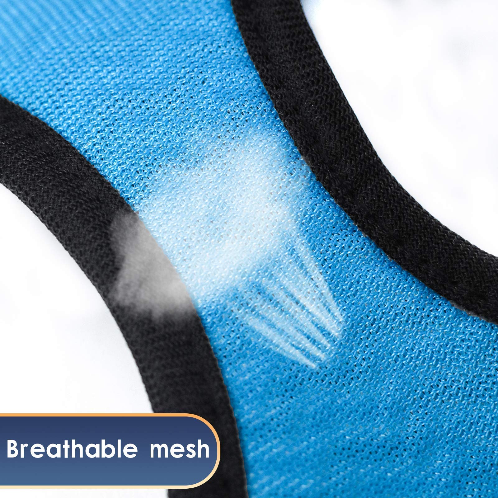 Conjunto YIMEIS para paseos al aire libre con comodidad y control.