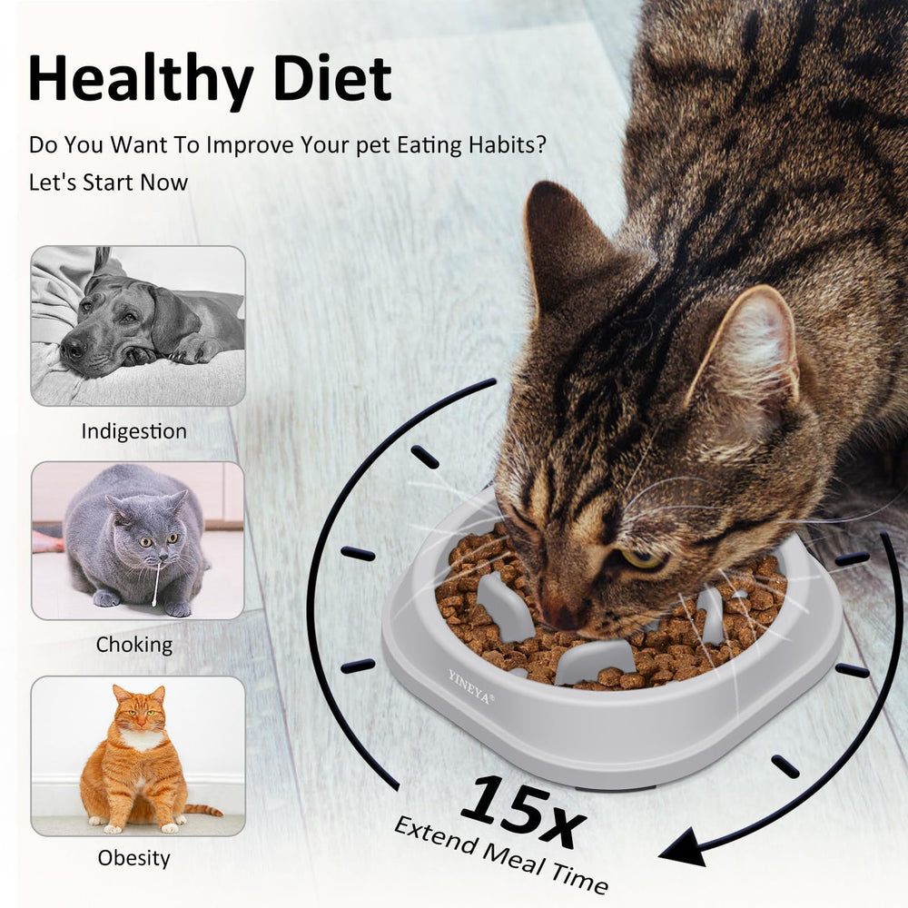 YINEYA cuenco lento para gato que favorece ritmo de comida