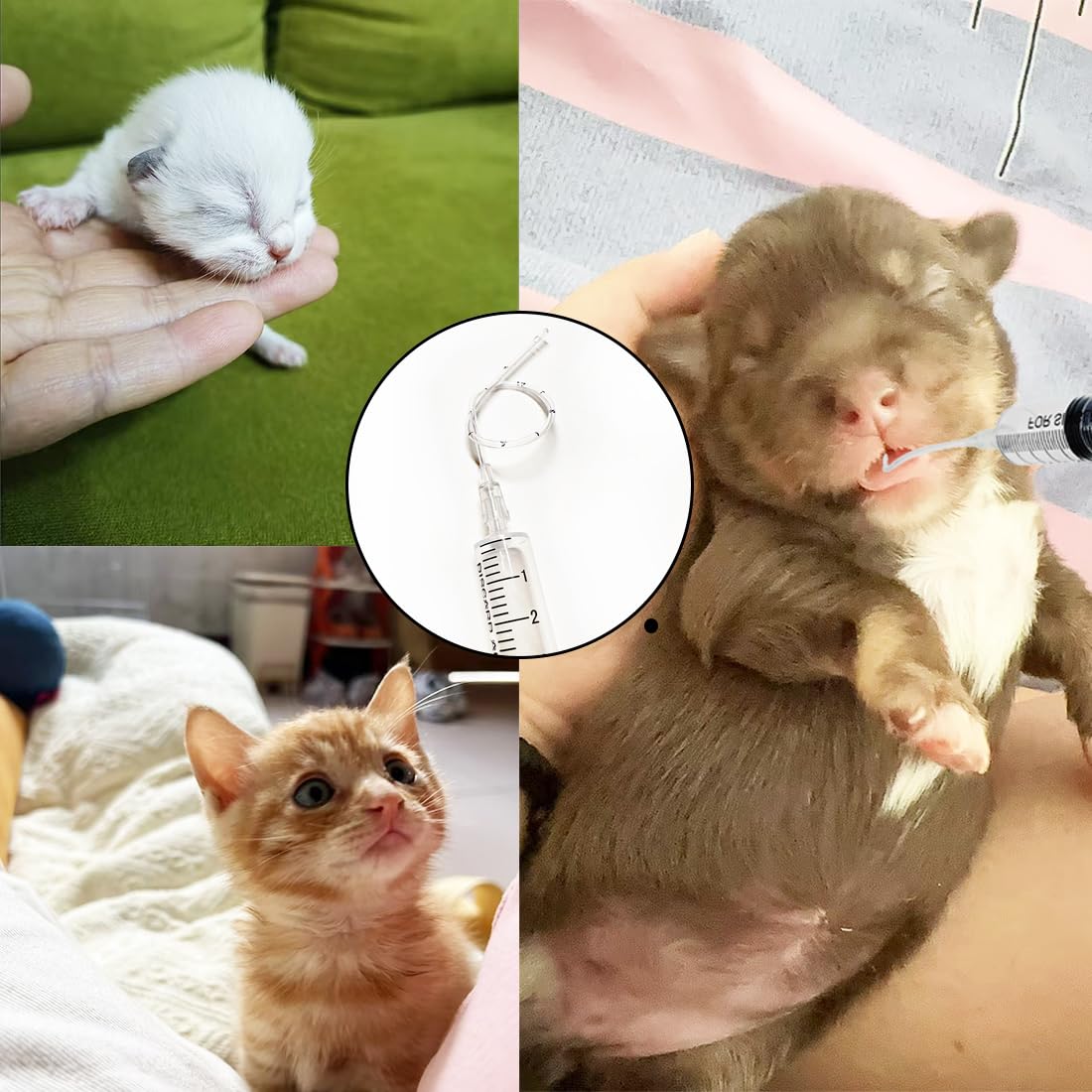 Accesorios de alimentación Yiqianhome para mascotas, fáciles de usar.