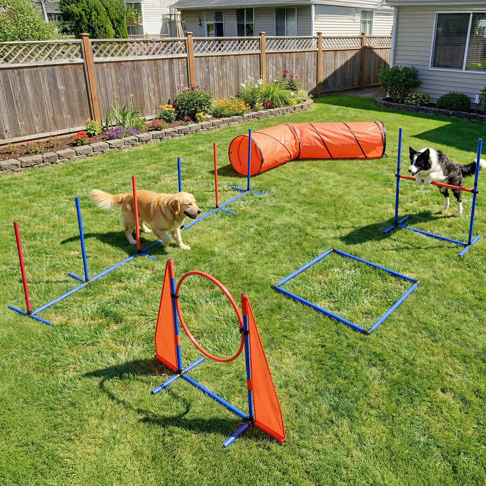 YITAHOME tunel de agilidad para perros, mejora la fluidez en el entrenamiento.