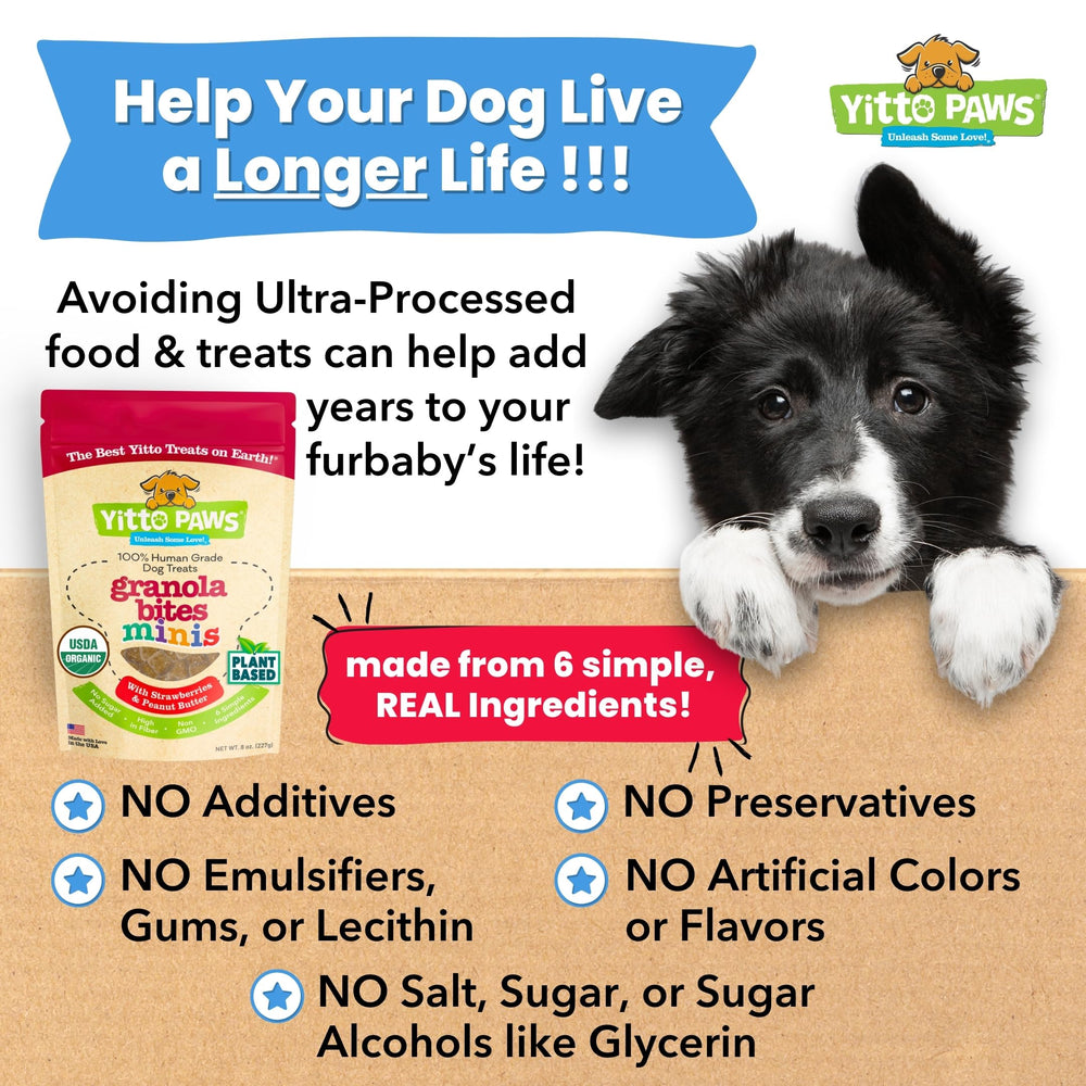 Yitto Paws Avena Orgánica Apoyo Cuerpo y Digestión