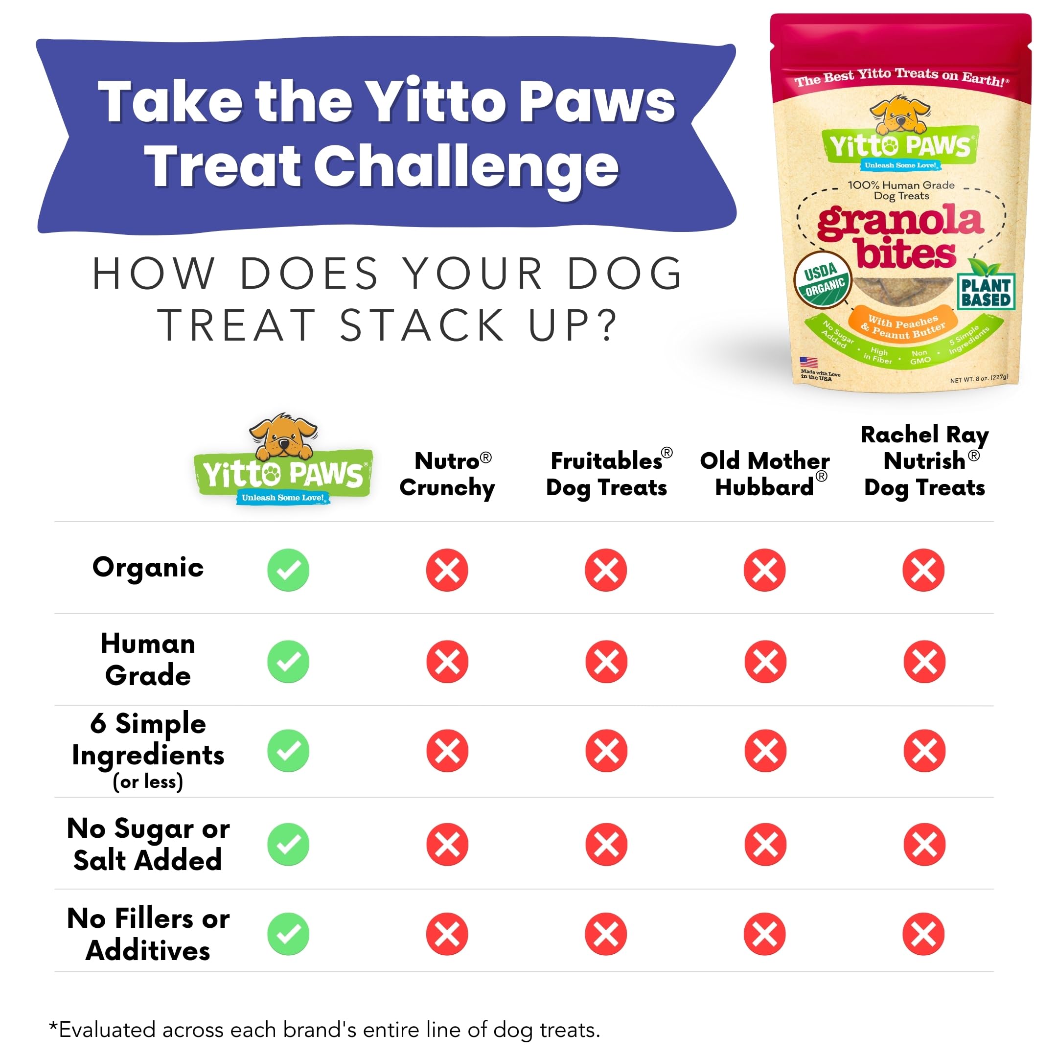 Perro con estómago sensible disfruta de Yitto Paws veganas.