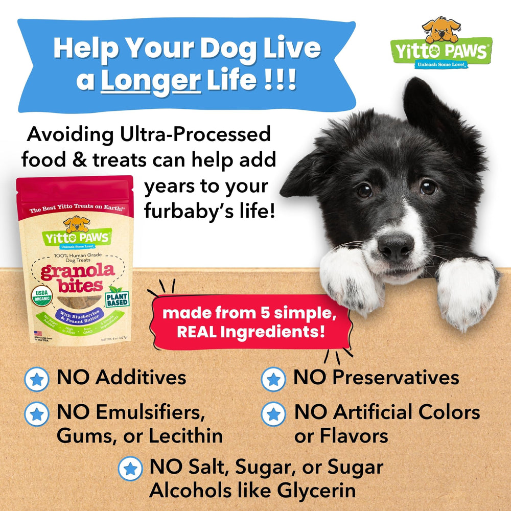 Yitto Paws aroma natural y sabor para premiar durante el adiestramiento