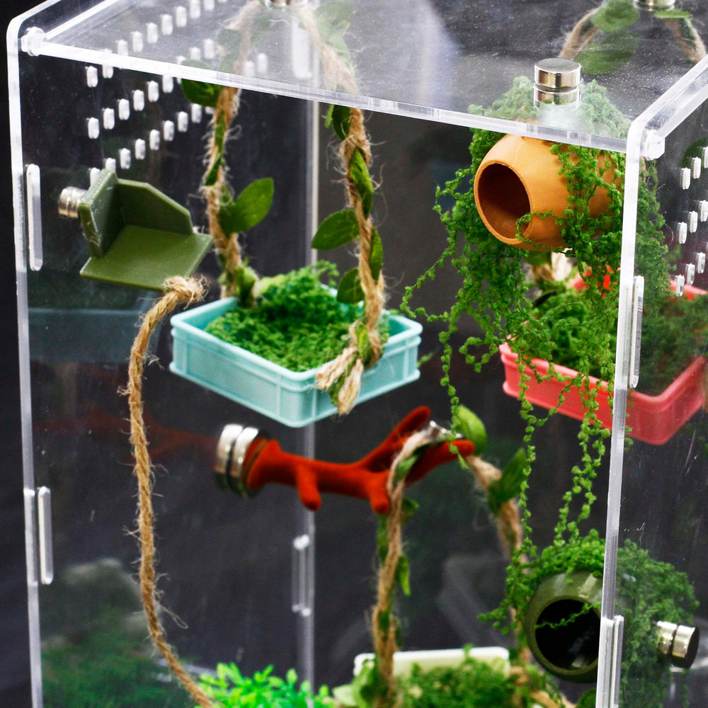 Accesorios para terrario compactos de YOMENO, compatibles con espacios pequeños.