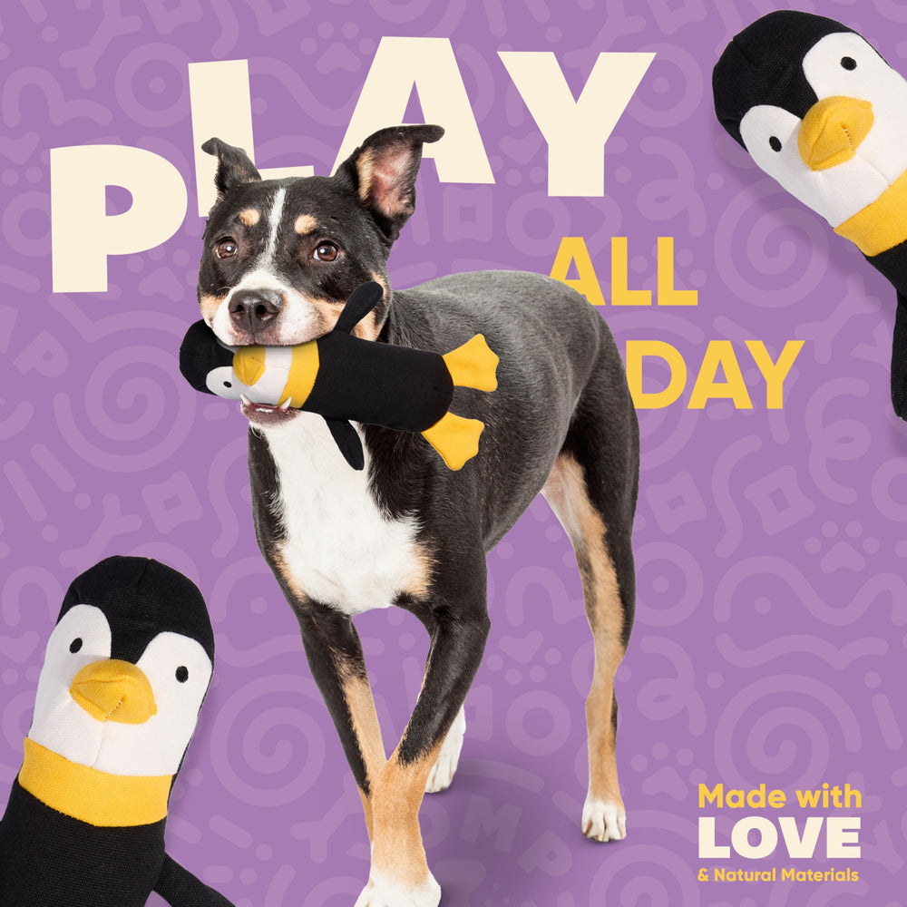 Juguete Yomp pingüino interactivo para mantener entretenido a tu perro.