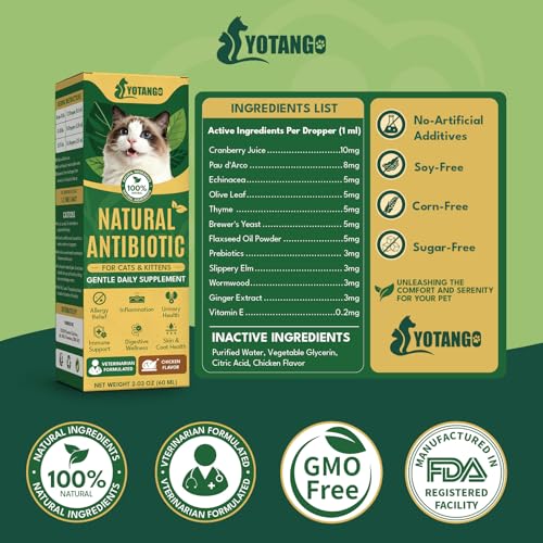 YOTANGO para todos los días: comodidad y bienestar de tu gato.
