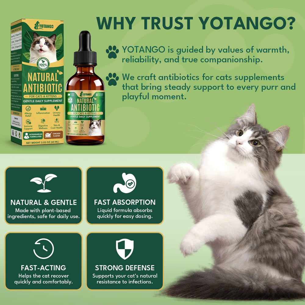 YOTANGO diseño con gotero cómodo para uso diario sin desorden.