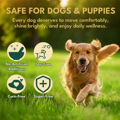 YOTANGO colágeno líquido para perros, mezcla con comida visible, favorece piel y pelaje saludables.