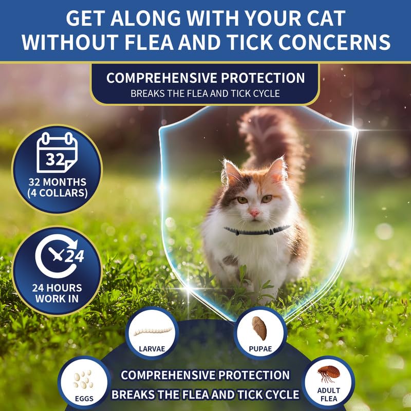YOTANGO collar antipulgas para gatos resistente al agua