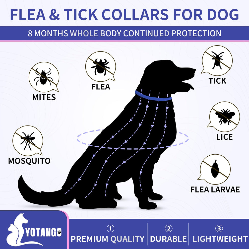 Collar antipulgas YOTANGO para perros en rosa, estilo y protección