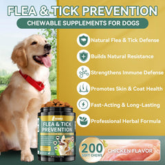 YOTANGO masticables sabor pollo para perros, opción sabrosa de prevención