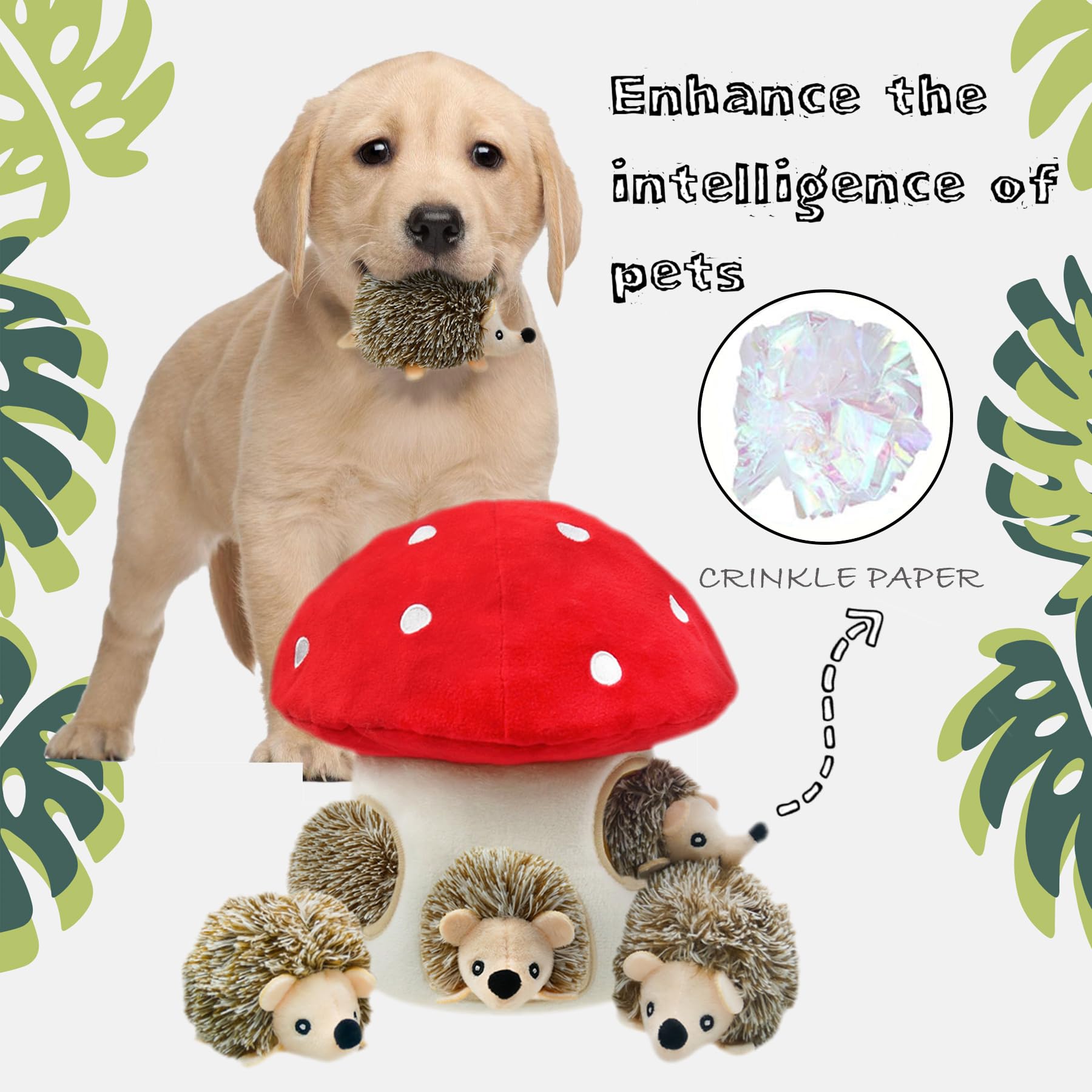YOUBEMAGIC juego-interactivo-perro, añade animación al ejercicio
