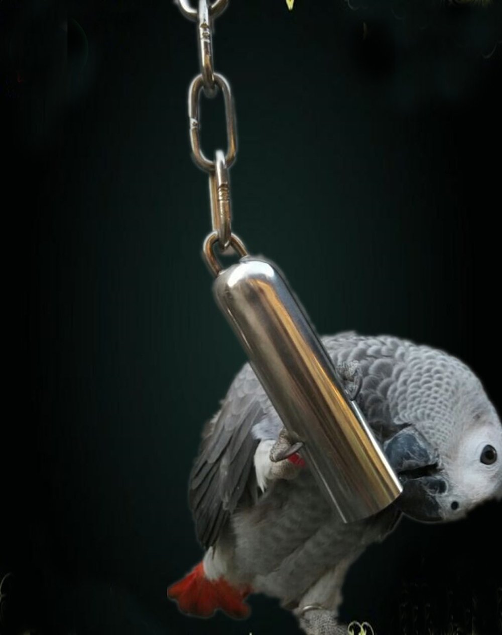 yoyoung juguete para jaula de aves, entretenimiento seguro al explorar sonidos.