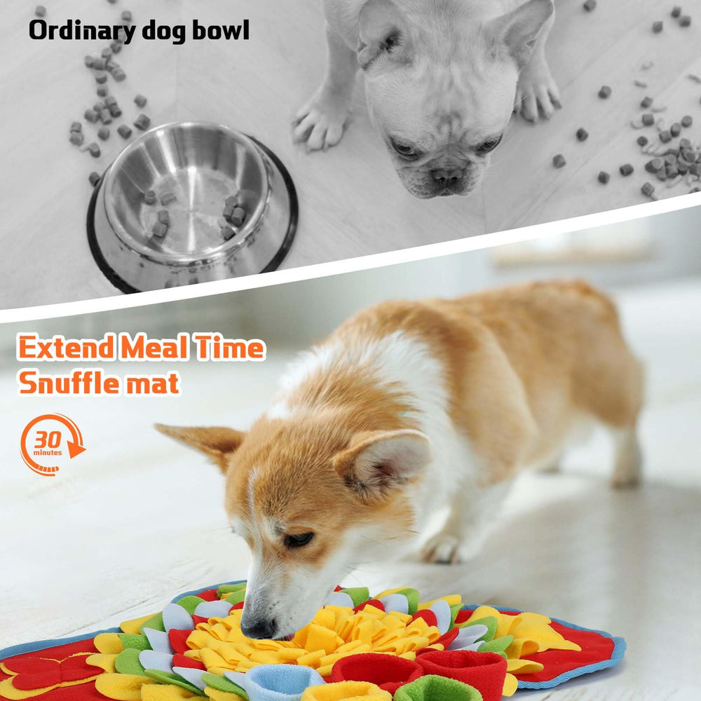 Alfombra olfativa de Yummy Sam con dimensiones 50x55 cm
