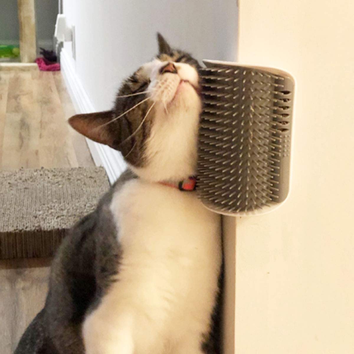 Yuntop diseño suave que cuida a mascotas y facilita el grooming