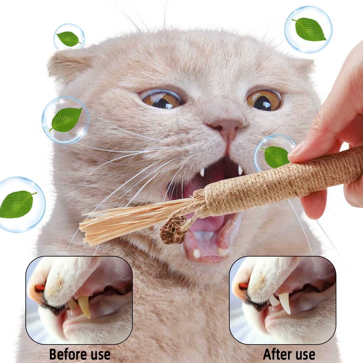 Presentación de regalo de Yuntop para gatos, cuidado y juego suave.