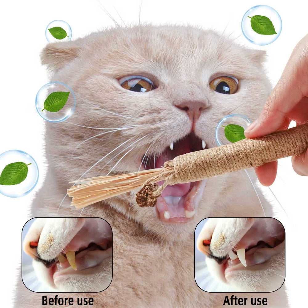 Presentación de regalo de Yuntop para gatos, cuidado y juego suave.