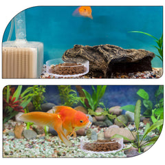 Yuomeaz plato para gambas grande, distribución estable en el acuario.
