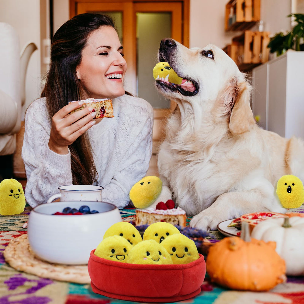 YZHDUXIU set de juguetes divertidos, regalo para tu perro.