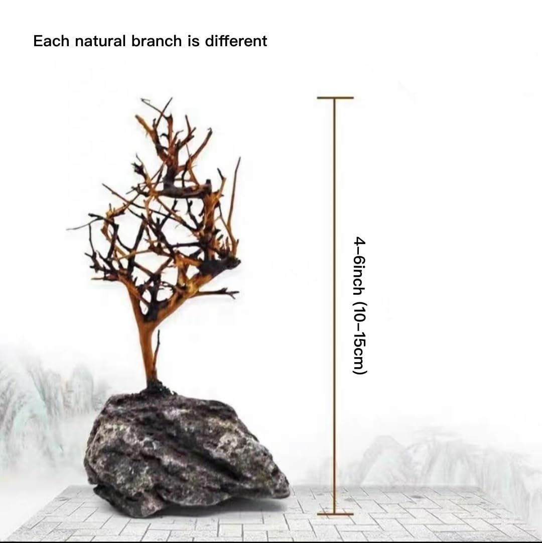 YZHZOM árbol bonsai para acuario, enfoque en raíces y tronco que añaden textura.
