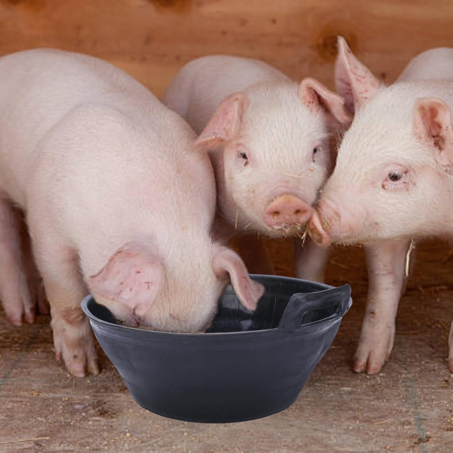 Zcargel cuenco goma para baño de polvo de animales, práctico y seguro