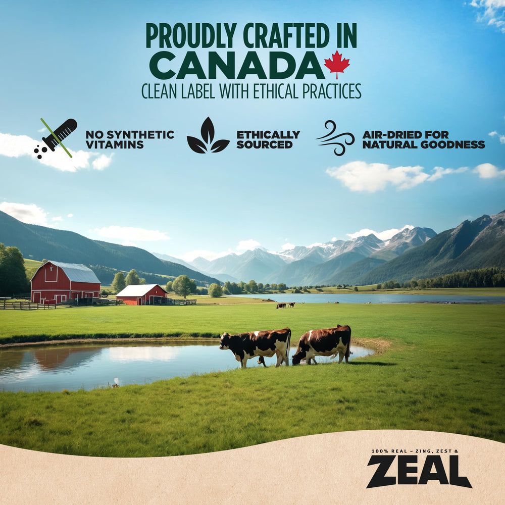 ZEAL Canadá opción sin granos, ideal para perros sensibles