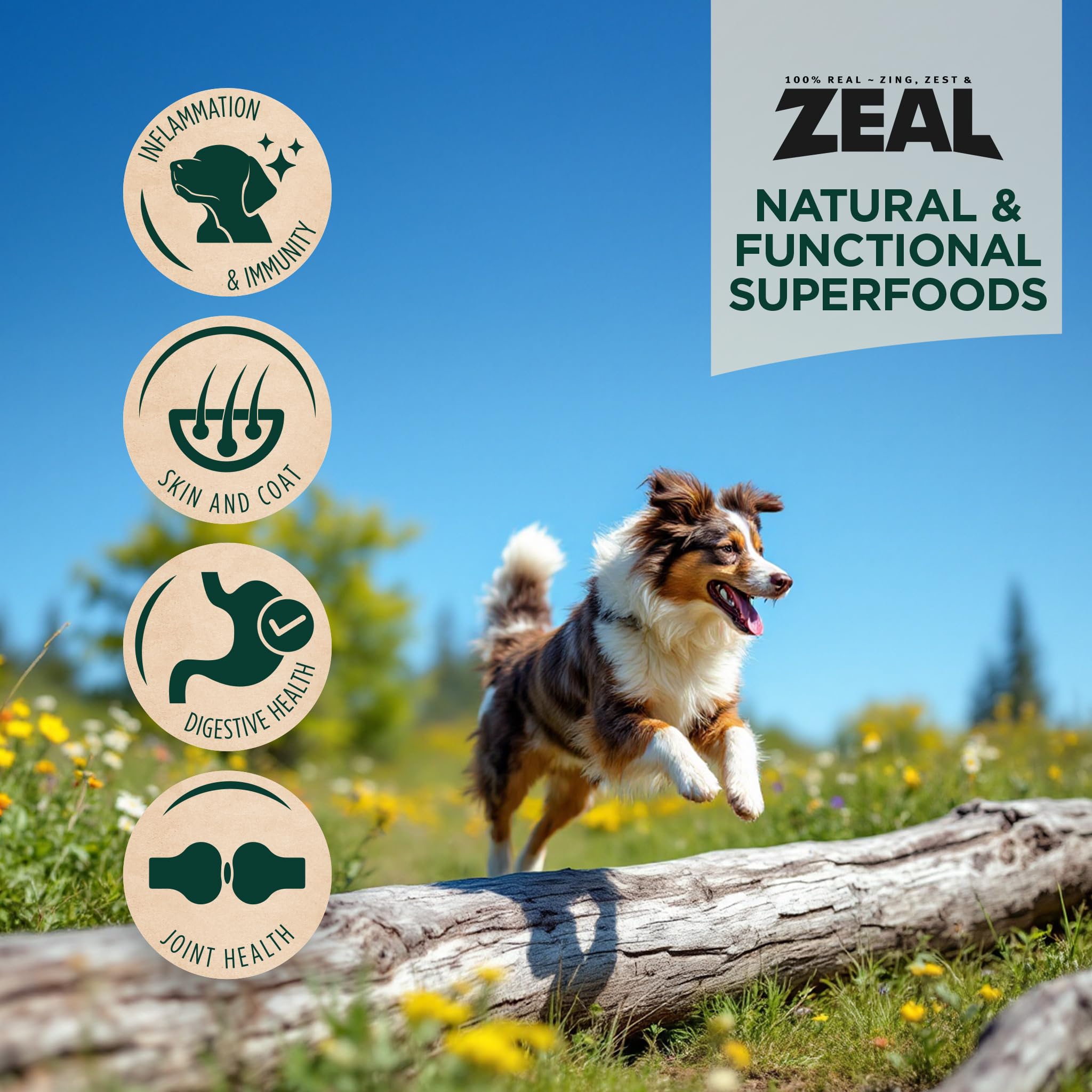 ZEAL Canadá ingredientes naturales, sabor auténtico sin rellenos