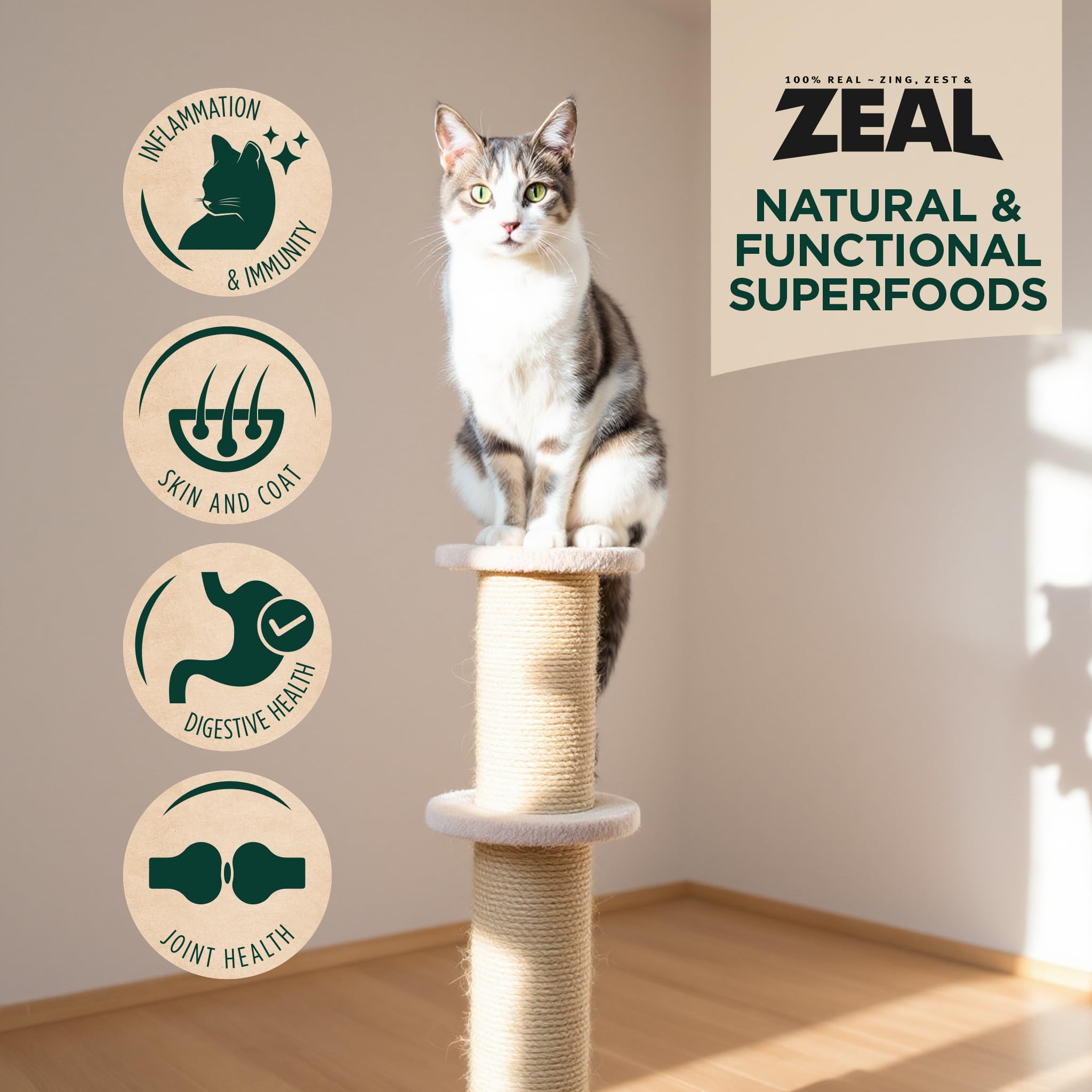 ZEAL Canadá sin rellenos, dieta limpia y completa para gatos.