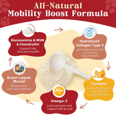 ZEBORA glucosamina para perros, ingredientes clave fortalecen articulaciones de forma natural.