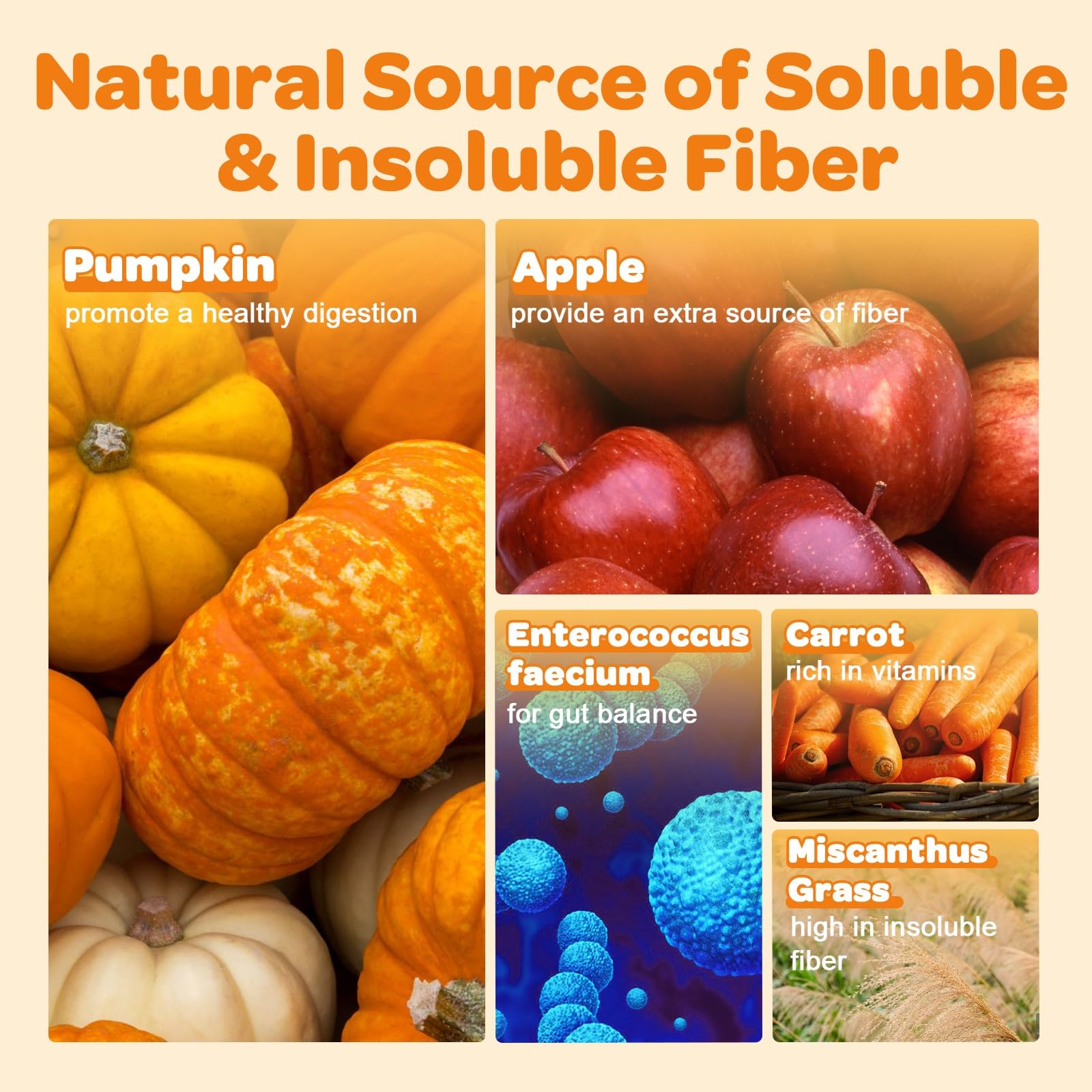 ZEBORA cuchara medidora incluida para dosificar la puré de calabaza