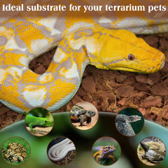 ZeeDix absorbente de olores y residuos para terrario