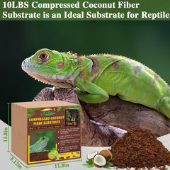 ZeeDix bloque de coco absorbe líquidos para terrarios limpios.