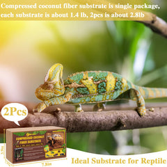 Zeedix: ladrillos de coco fibra para terrario, absorben líquidos y reducen olores.