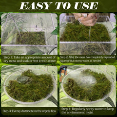 ZeeDix musgo sphagnum facilita excavación y escondites para reptiles