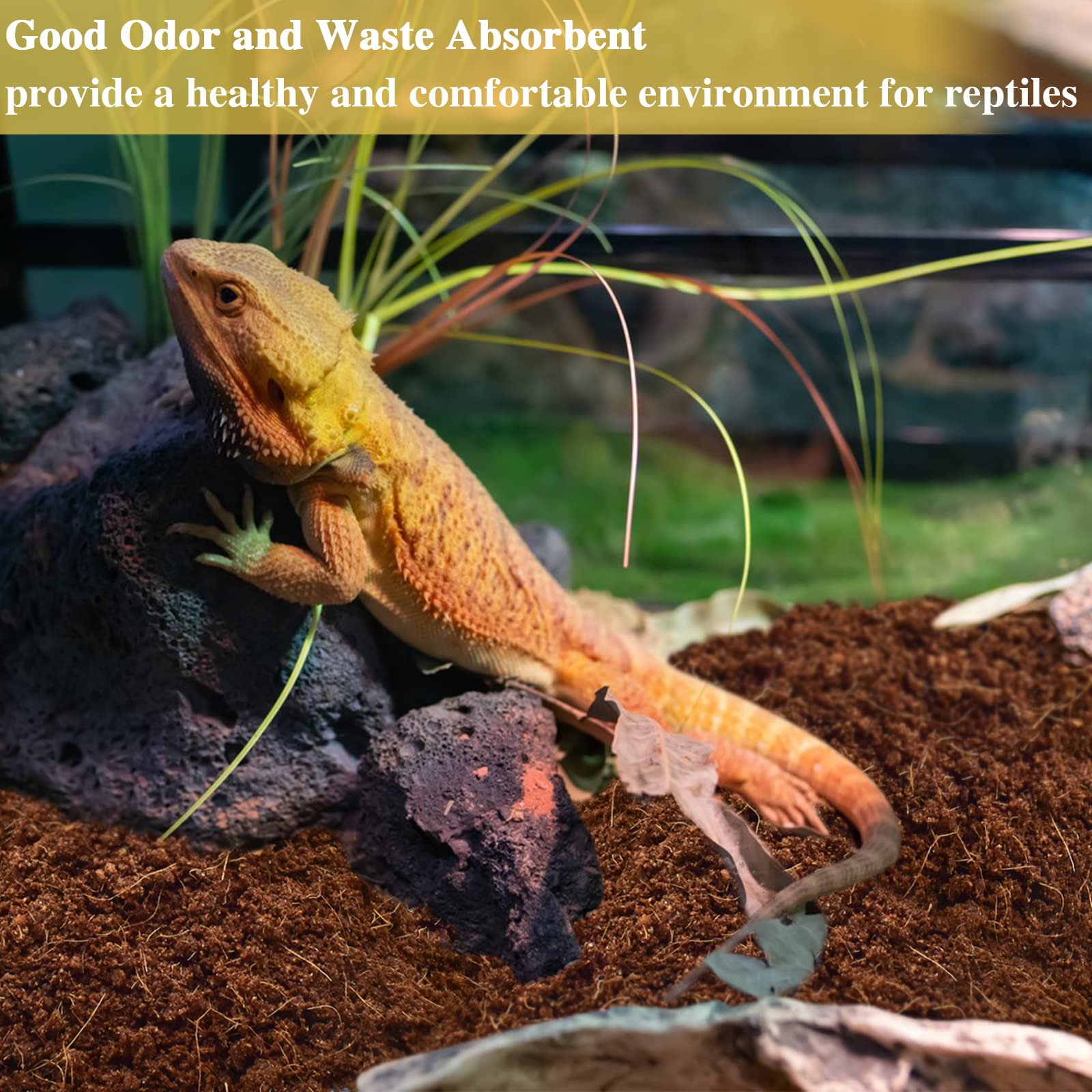 Zeedix: substrato coco fibra natural y biodegradable para plantas y mascotas.