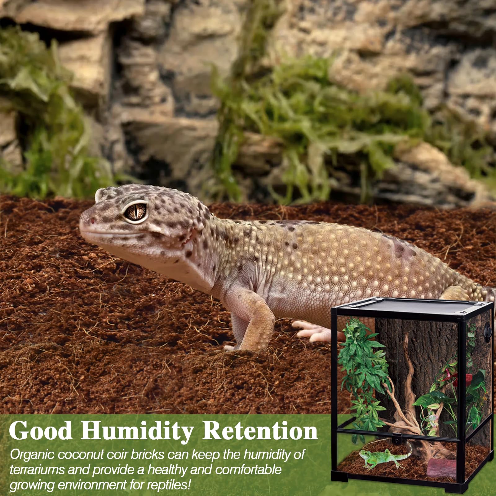 ZeeDix terrario con coco: compatibilidad para reptiles, anfibios e invertebrados.