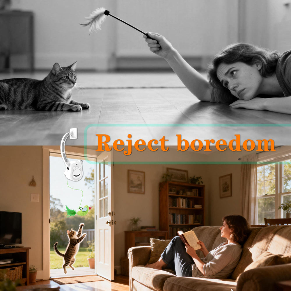 ZEHEXO Cuerdas Ajustables: variedad de juego para gatos curiosos y gatitos.