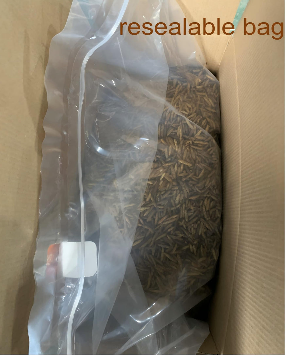 Deliciosos tentempiés para aves: ZenithWorks, para pollos, patos y gansos.