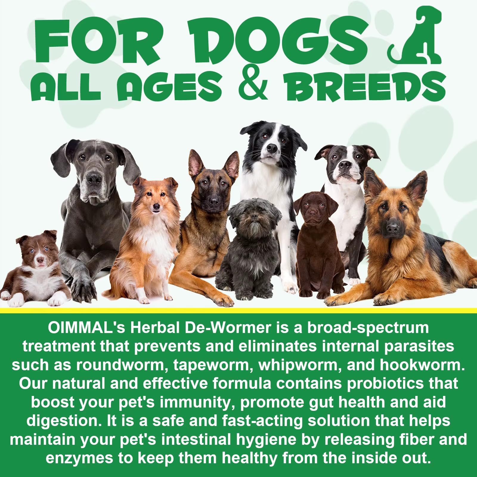 Zenpaws No Más Gusanos: etiqueta frontal con indicaciones y beneficios digestivos
