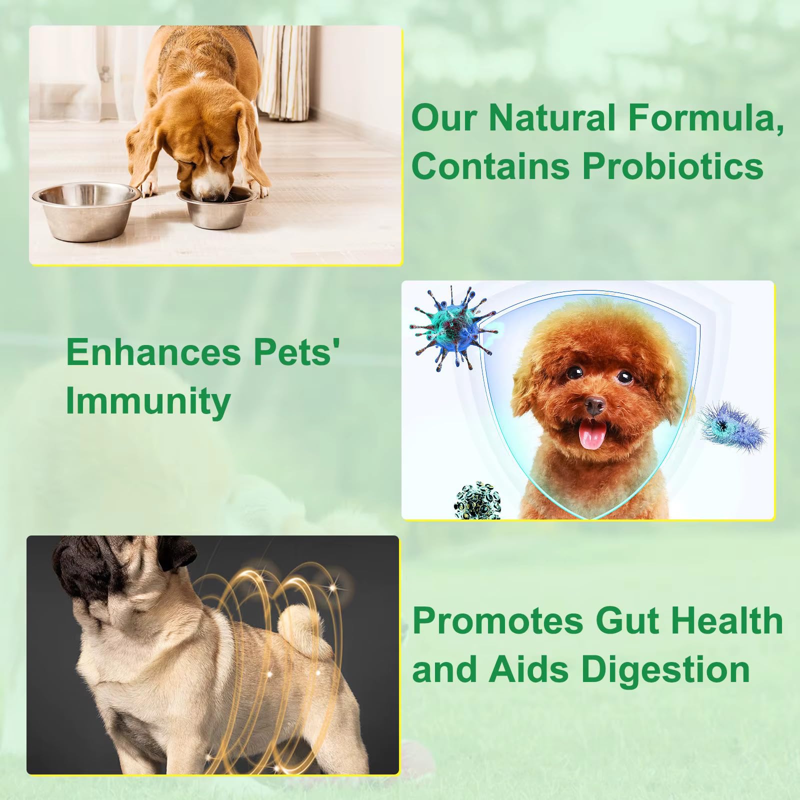 Zenpaws No Más Gusanos: foco probiótico para una flora intestinal equilibrada