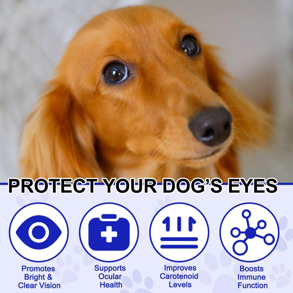 Zenpaws: vitaminas A, C y E en fórmula ocular para perros.