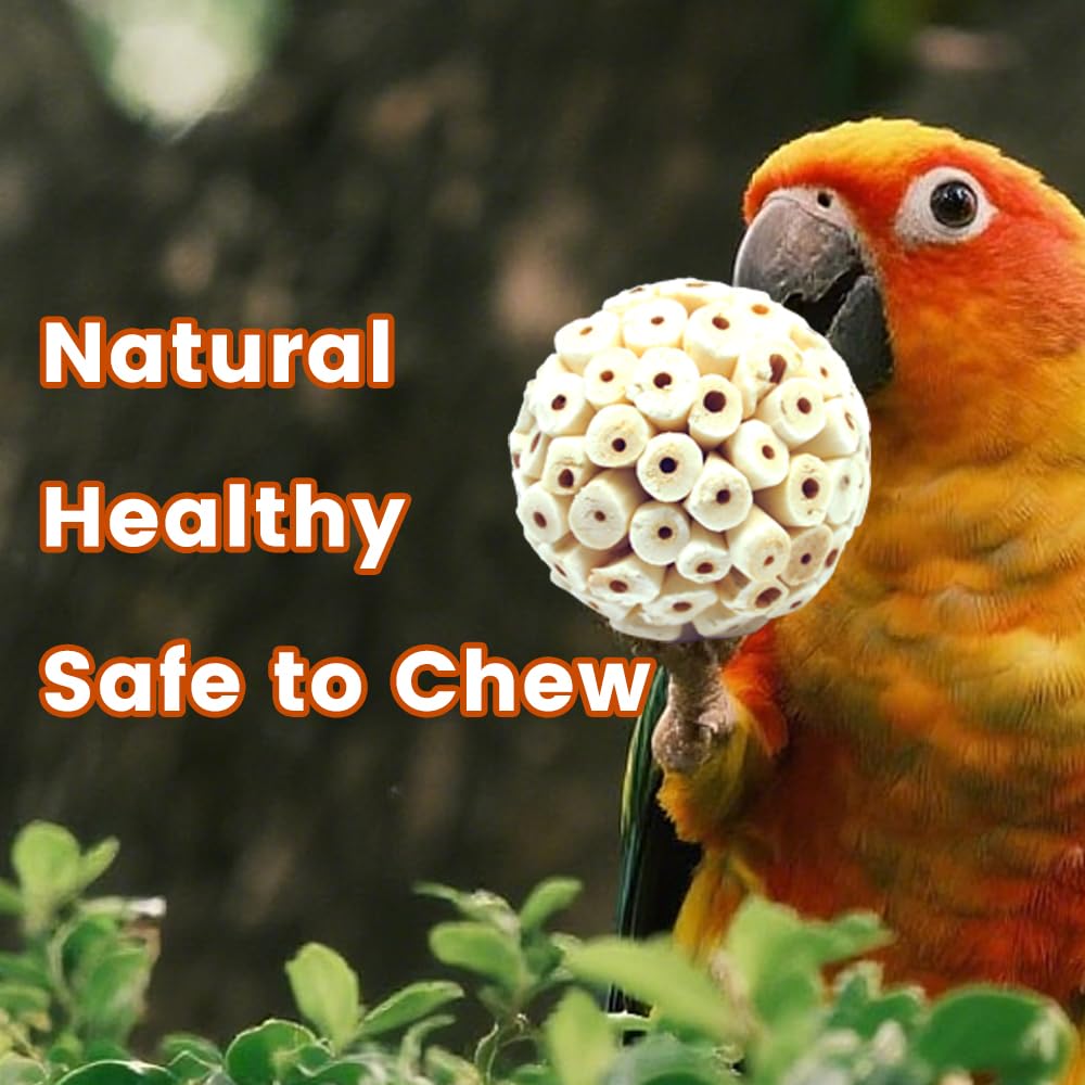 Zephyriel bola para forrajeo y estimulación mental de aves.