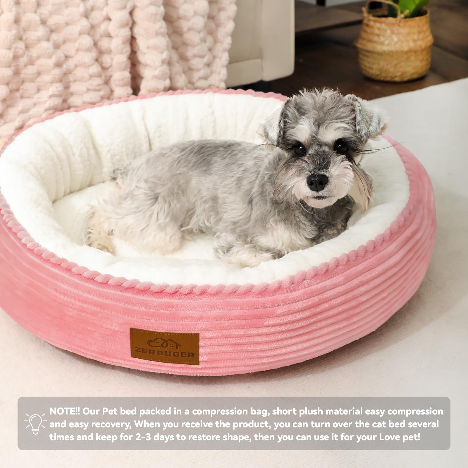 Regalo Zerbuger para mimos y relax de tu mascota.