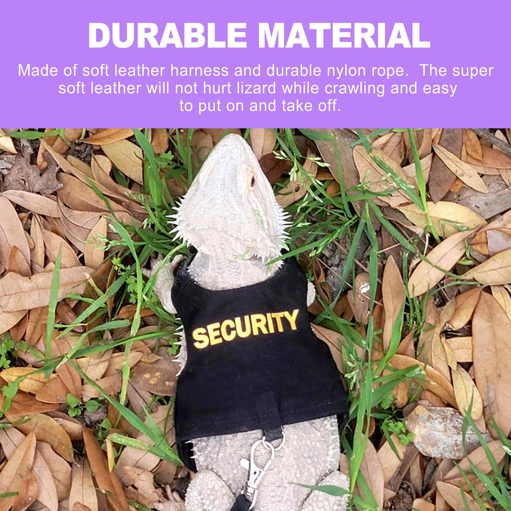 ZeriLion colores vibrantes y diseño moderno para destacar
