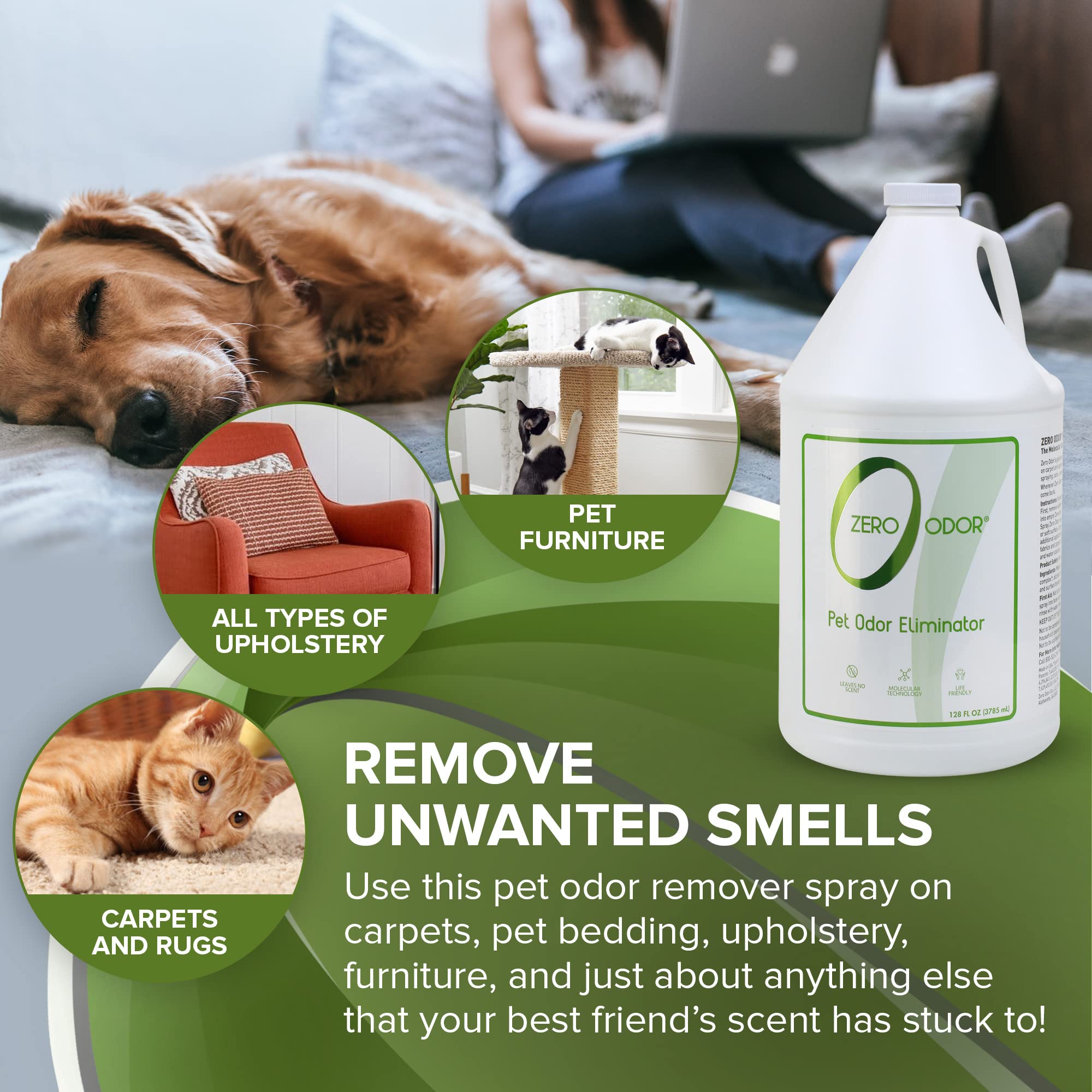 Zero Odor: elimina olores de alfombras con eficacia sostenible