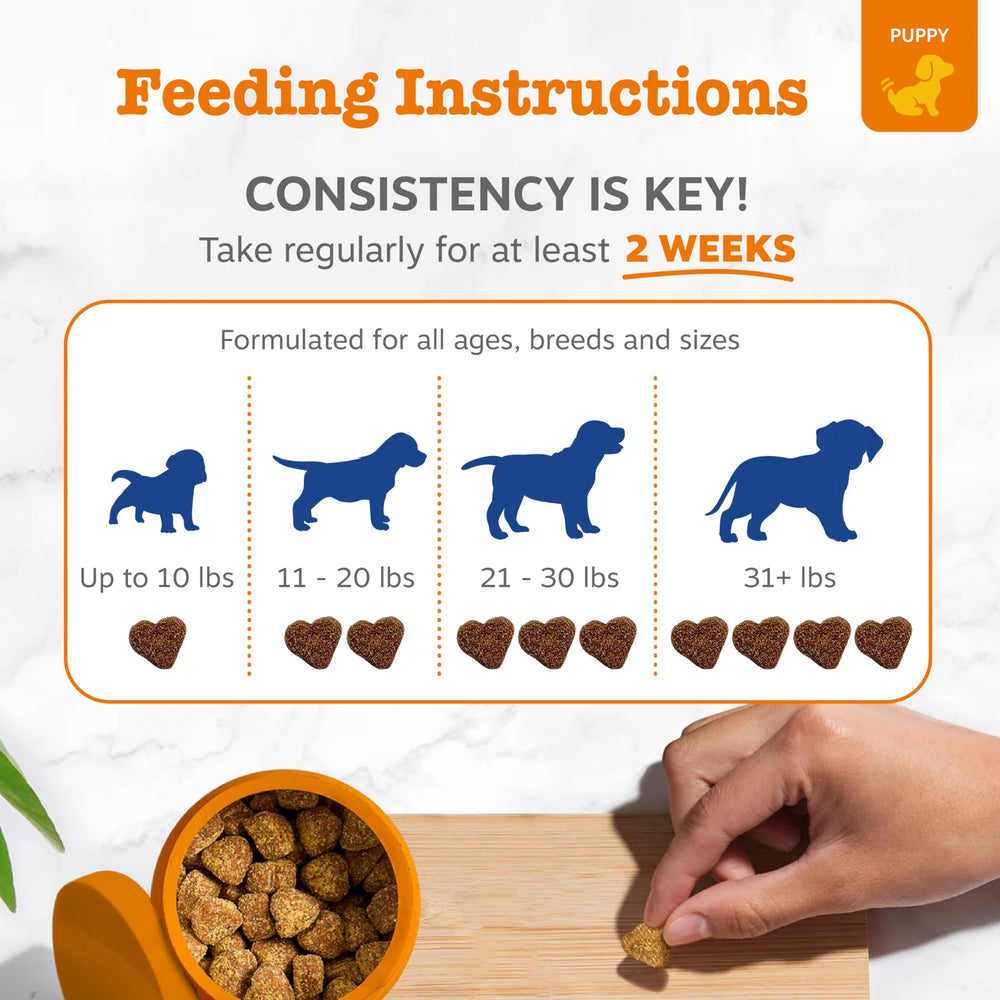 Zesty Paws favorece articulaciones y movilidad en perros
