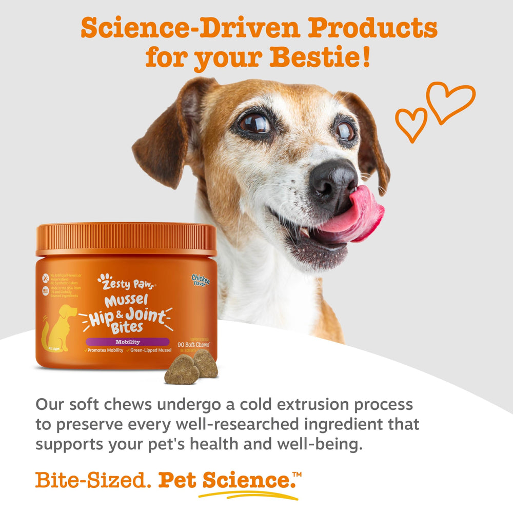 Zesty Paws Mussel Mobility Bites ingredientes naturales para la movilidad.