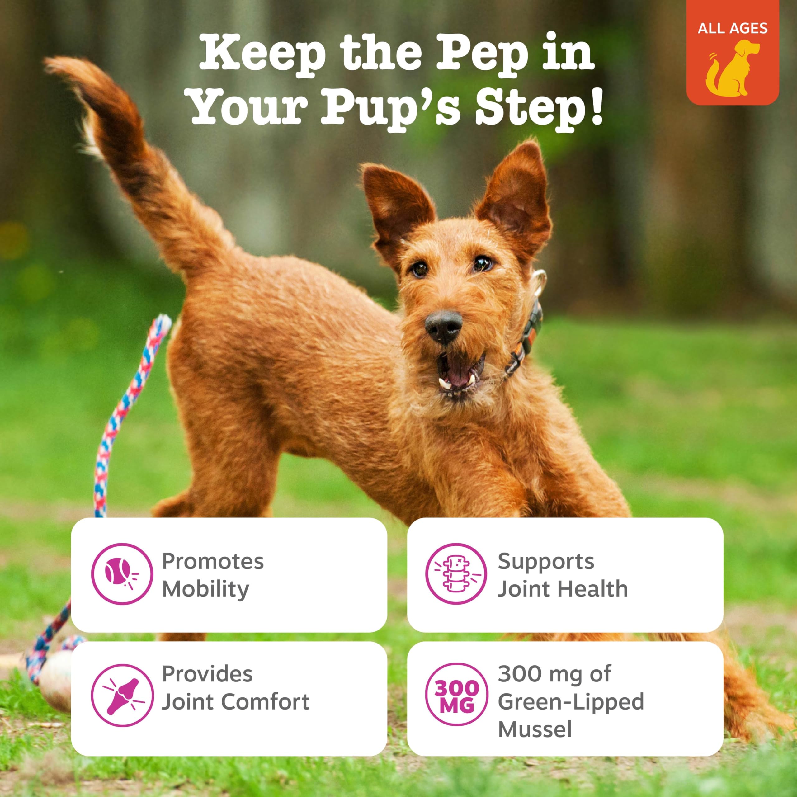 Zesty Paws Mussel Mobility Bites textura suave para premiar.