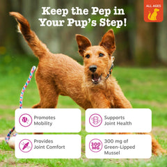 Zesty Paws Mussel Mobility Bites textura suave para premiar.