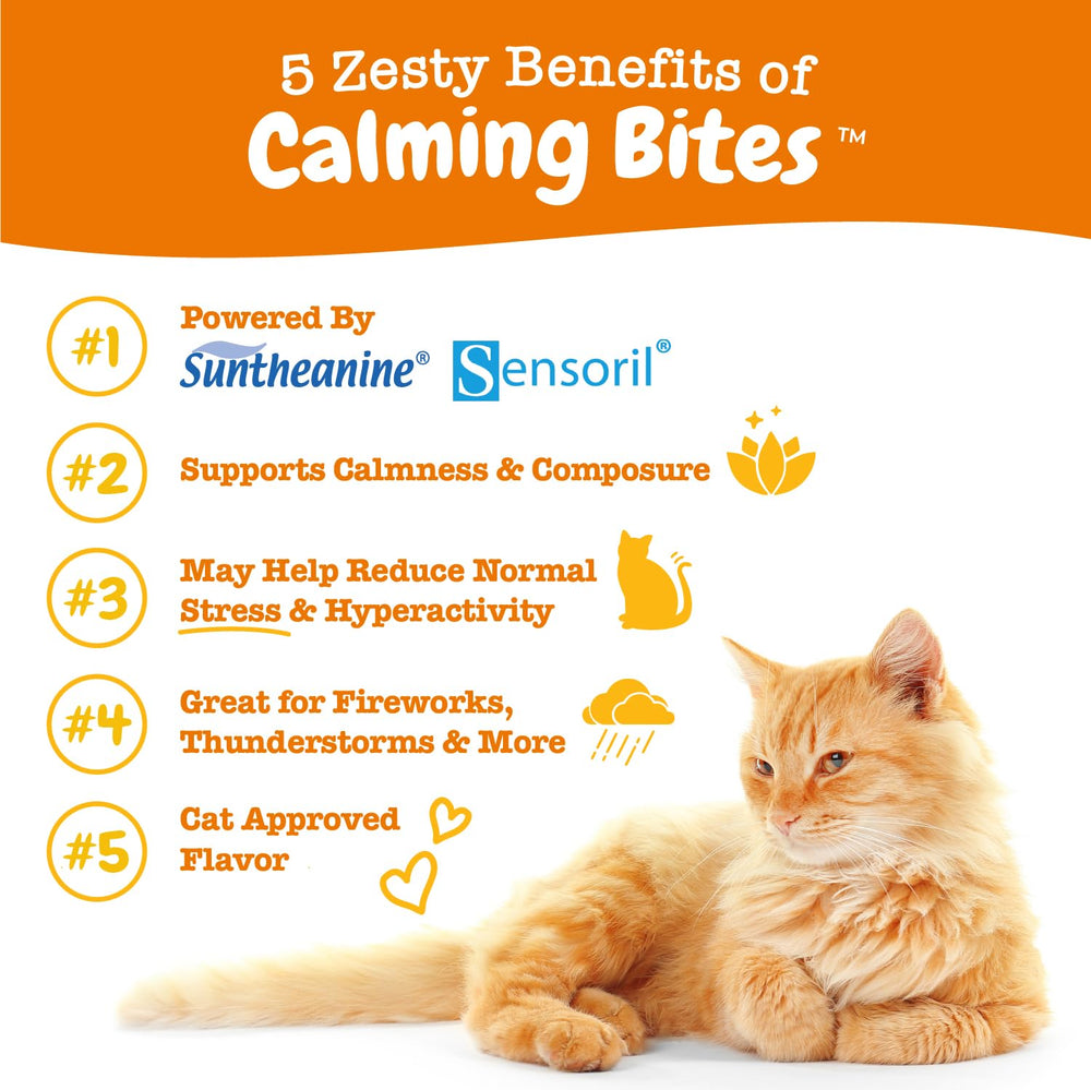 Zesty Paws bocado con ashwaganda para gatos podría favorecer una sensación de calma.
